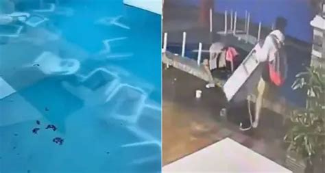 Private Resort Customers In Viral Video Apologize .